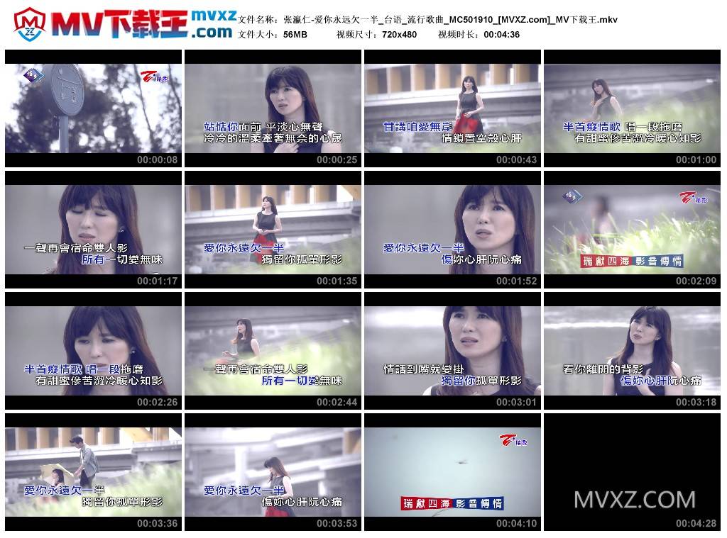 张瀛仁-爱你永远欠一半_台语_流行歌曲_MC501910